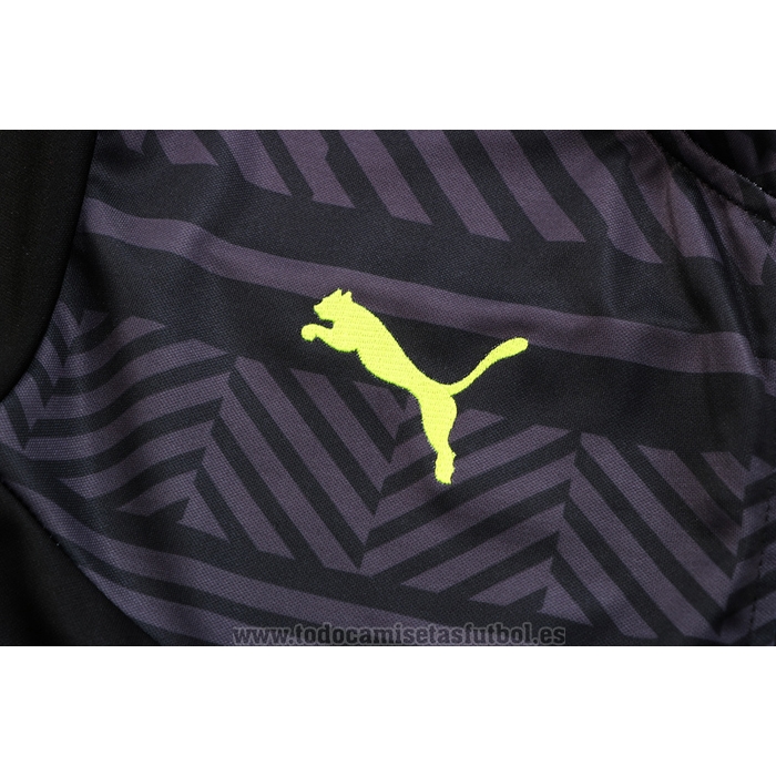 Chandal de Chaqueta del Borussia Dortmund 2022-2023 Gris